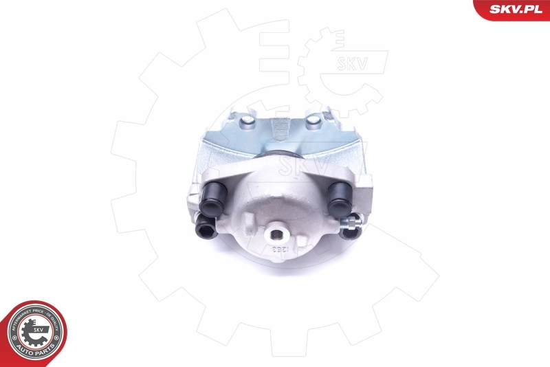 Brake Caliper 42SKV821