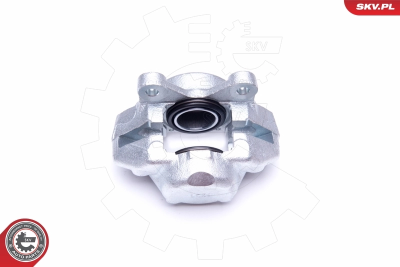 Brake Caliper 45SKV901
