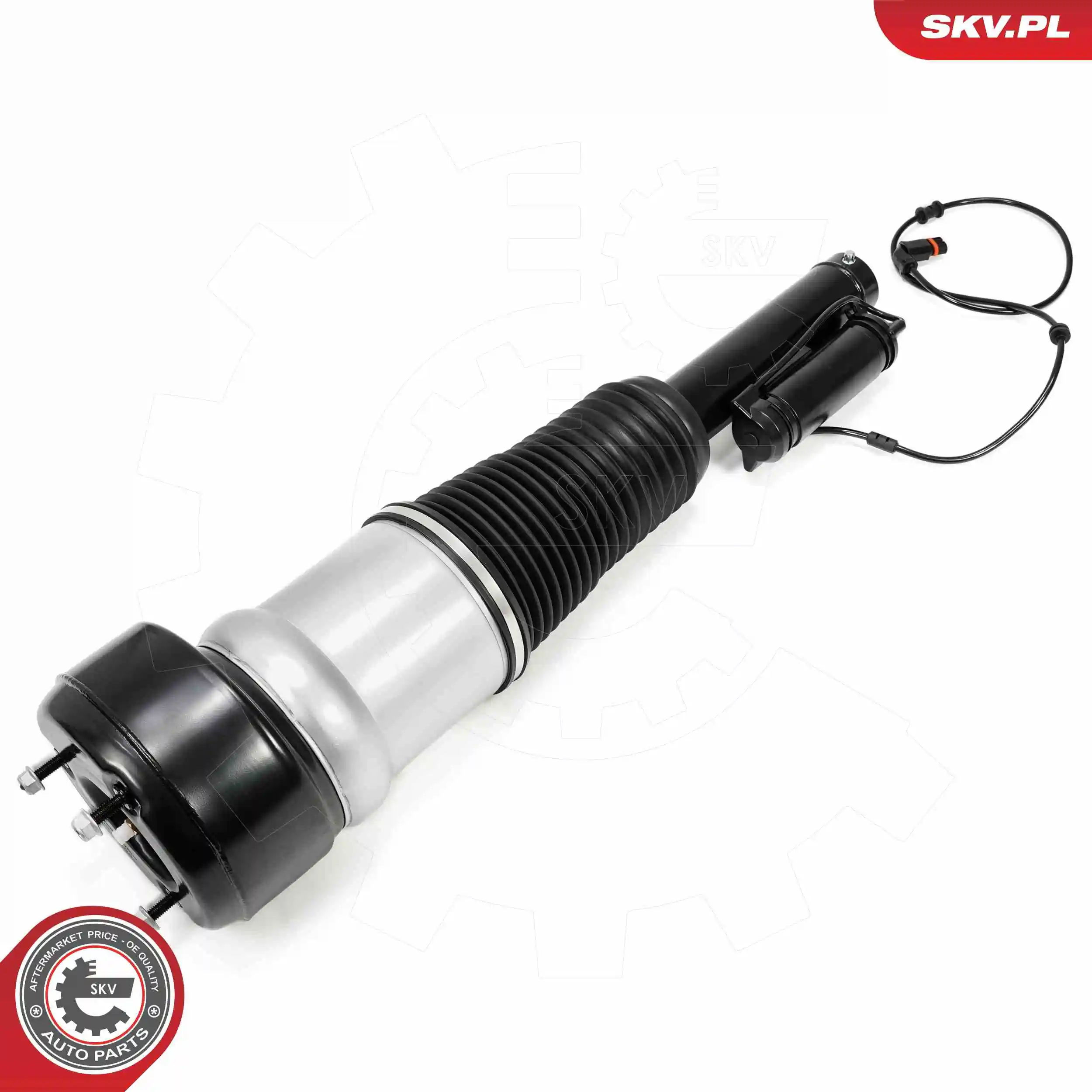 Air Suspension Strut 58SKV720
