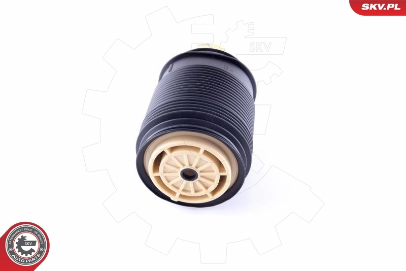 Air Spring, suspension 58SKV012