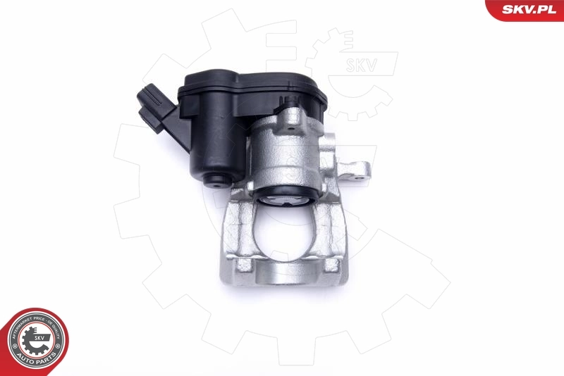 Brake Caliper 55SKV754