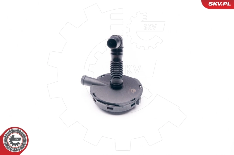 Soupape, dégazage du carter 31SKV024