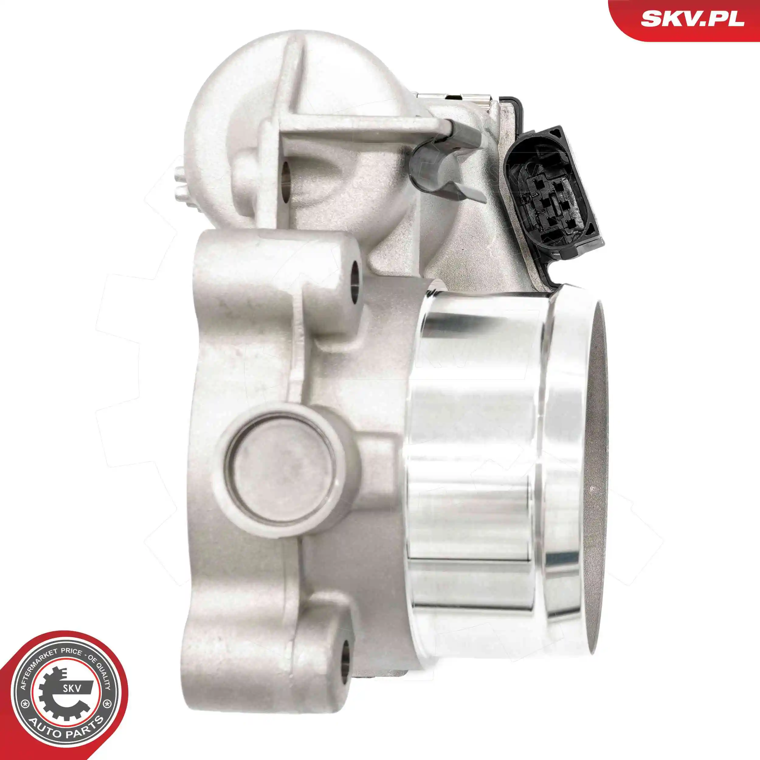 ESEN SKV 12SKV136 Throttle Body