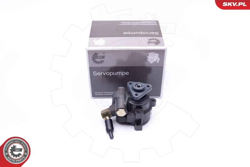 Hydraulic Pump, steering 10SKV259