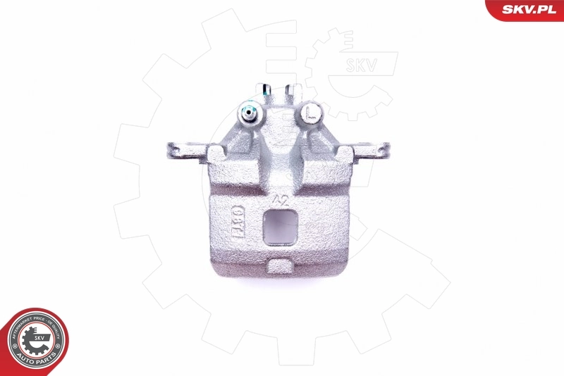 Brake Caliper 45SKV673
