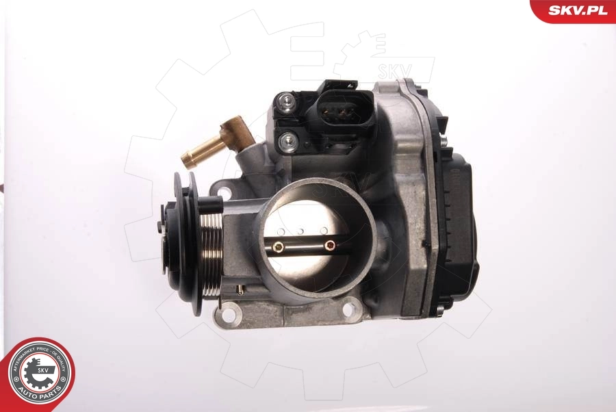 Throttle Body 12SKV014