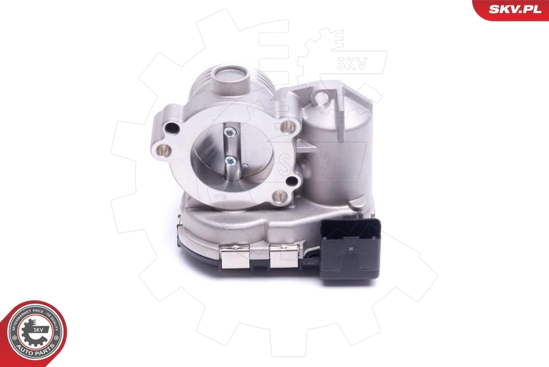 Throttle Body 12SKV119
