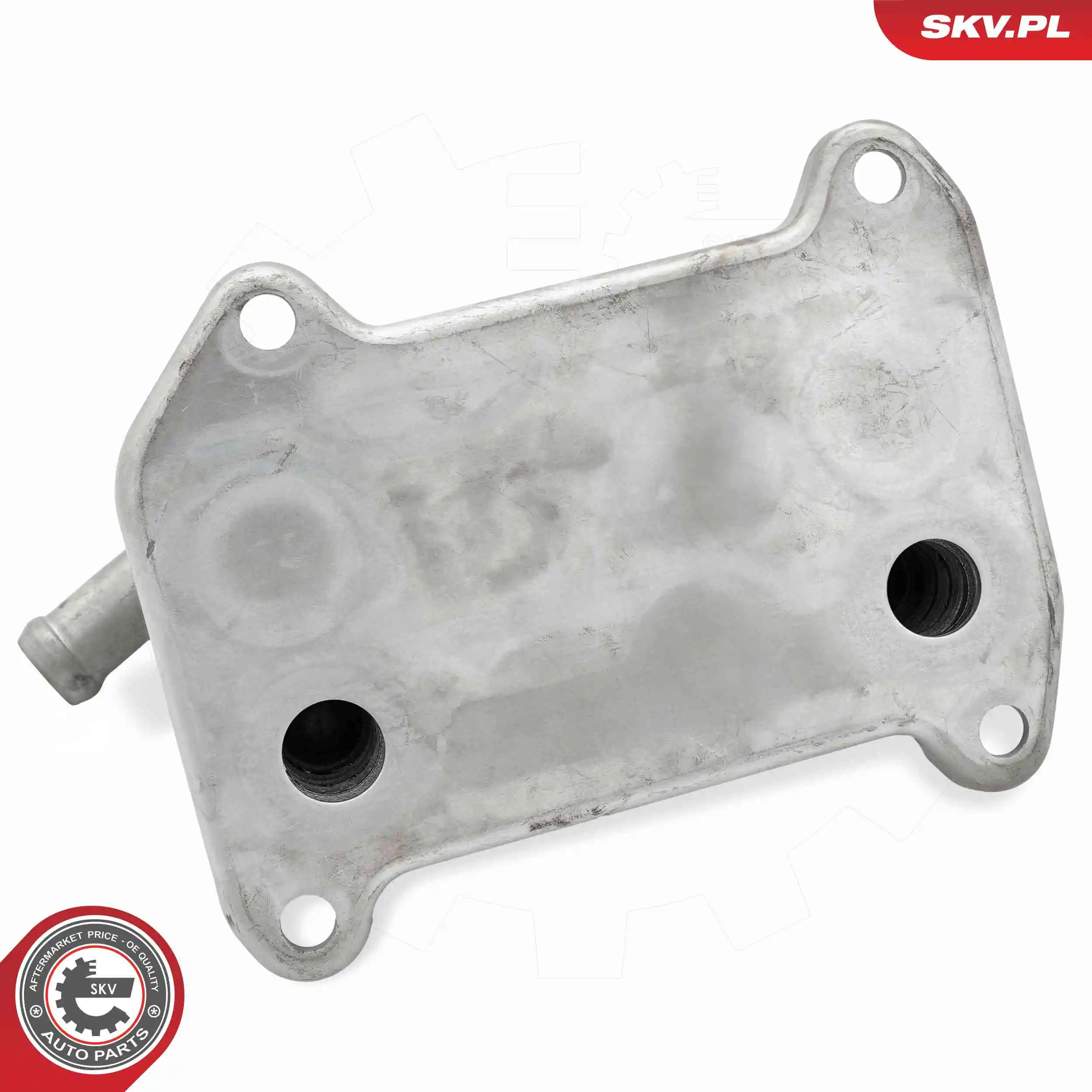 Oil Cooler, engine oil 31SKV301