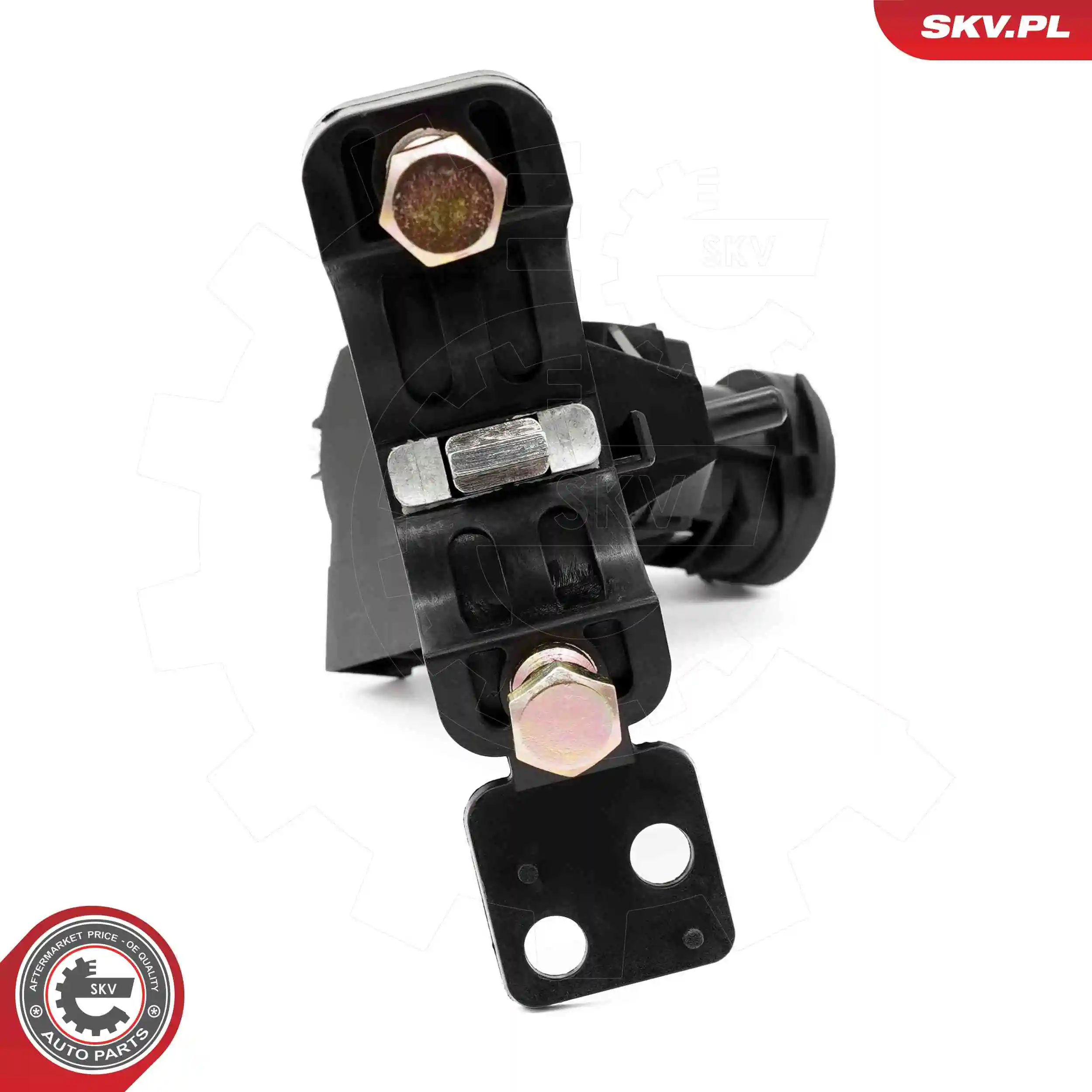 Ignition Switch 65SKV237