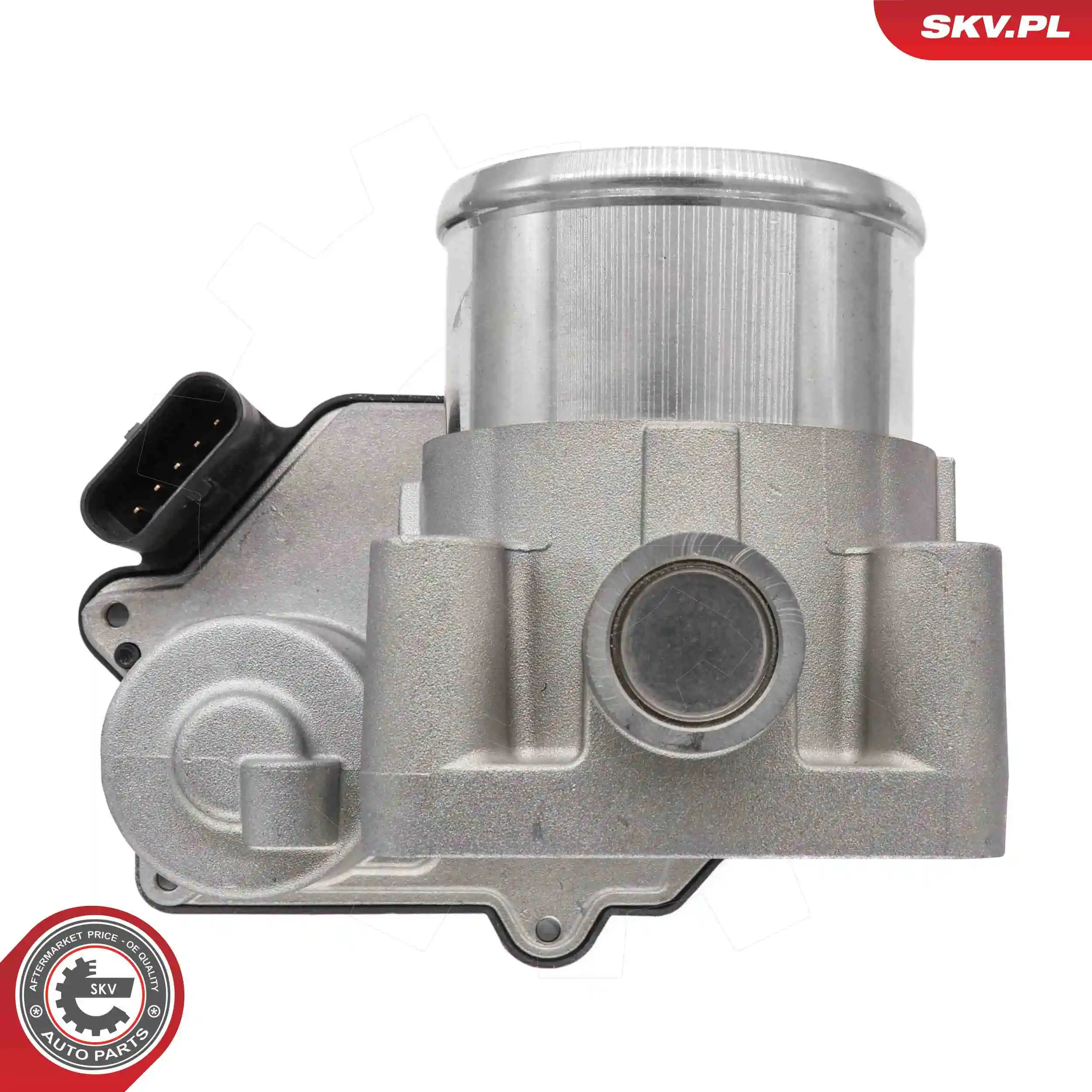 ESEN SKV 12SKV139 Throttle Body