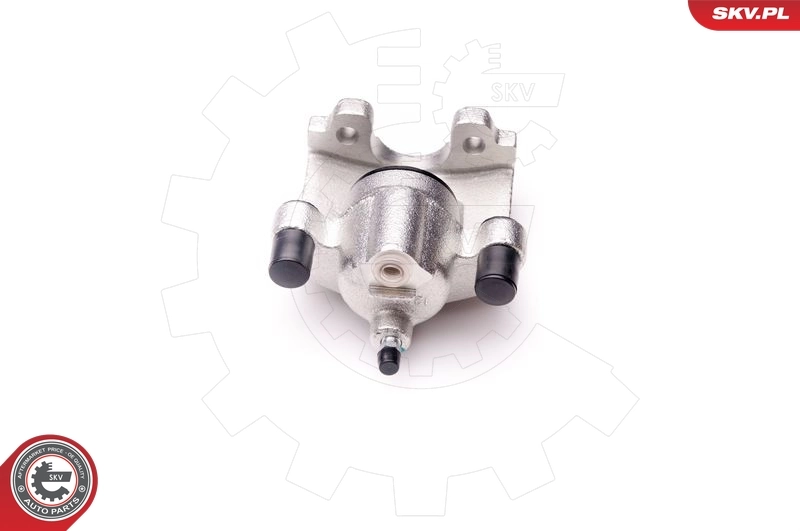 Brake Caliper 34SKV293