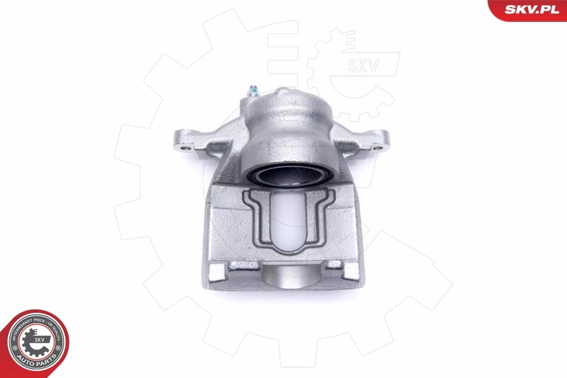 Brake Caliper 55SKV961