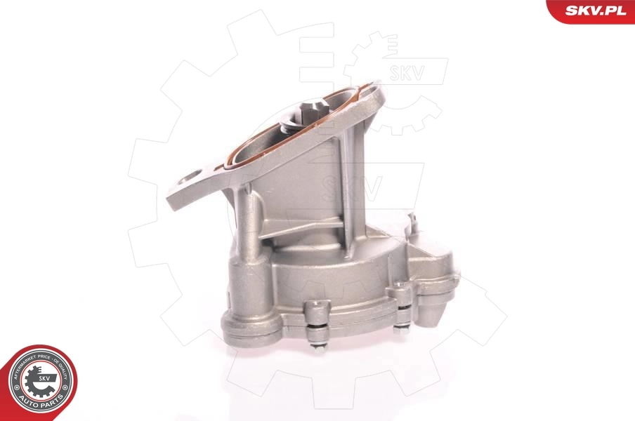 Vacuum Pump, braking system 18SKV006