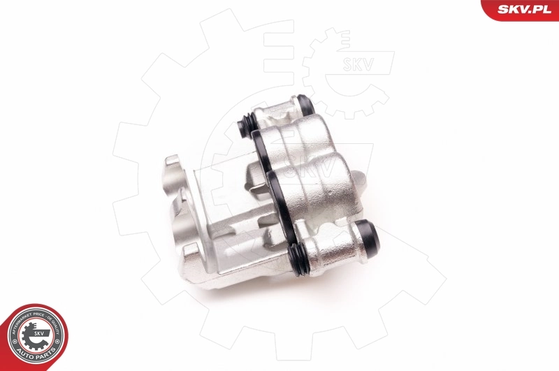 Brake Caliper 23SKV405