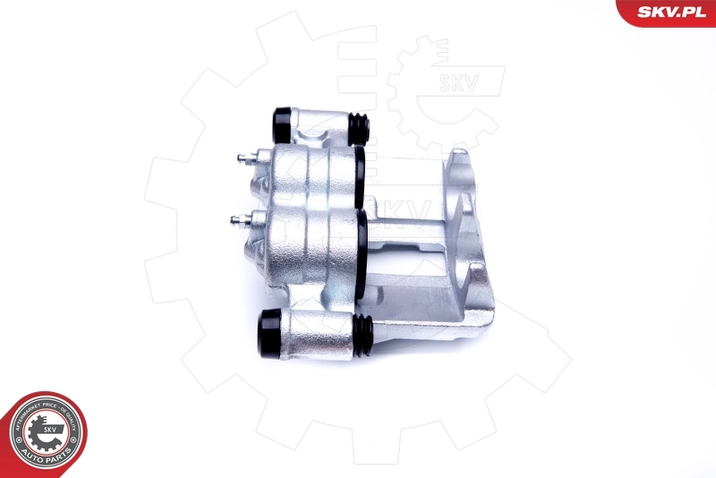 Brake Caliper 42SKV862