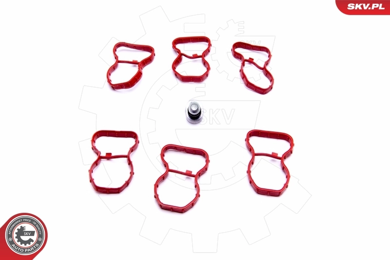 Repair Kit, intake manifold module 49SKV520