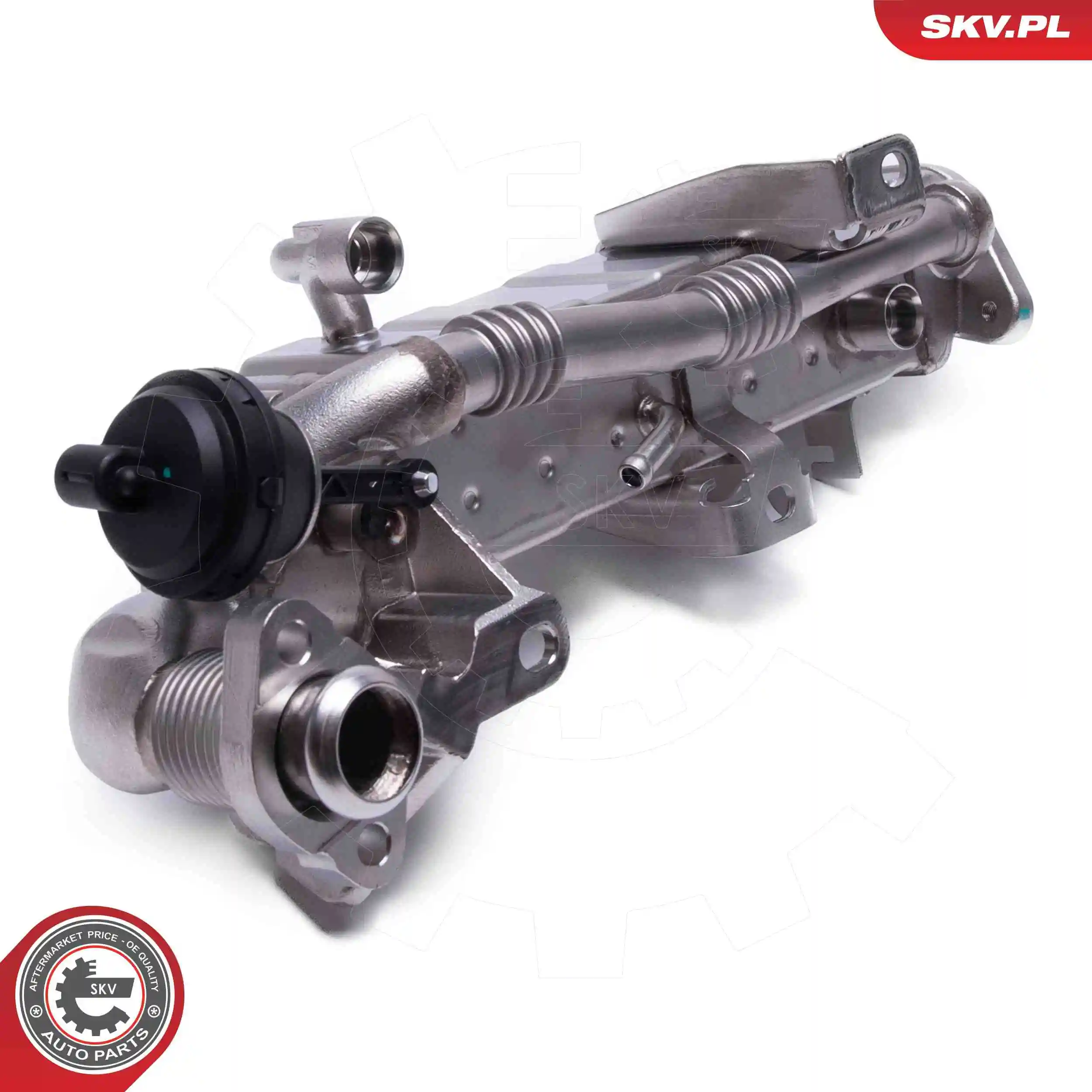 EGR Valve 14SKV239
