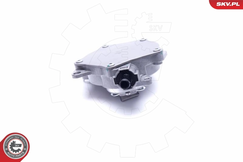 Vacuum Pump, braking system 18SKV031