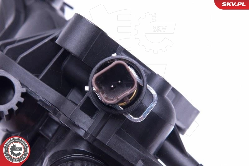 Thermostat, coolant 20SKV096