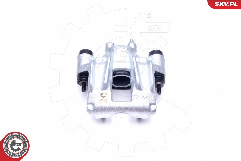 Brake Caliper 42SKV893