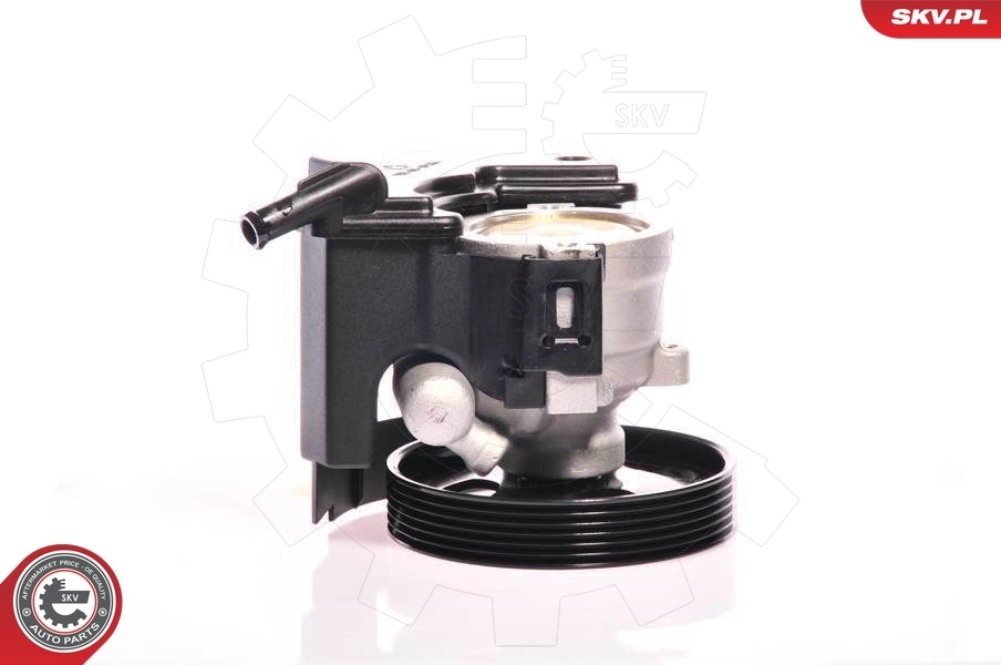 Hydraulic Pump, steering 10SKV153