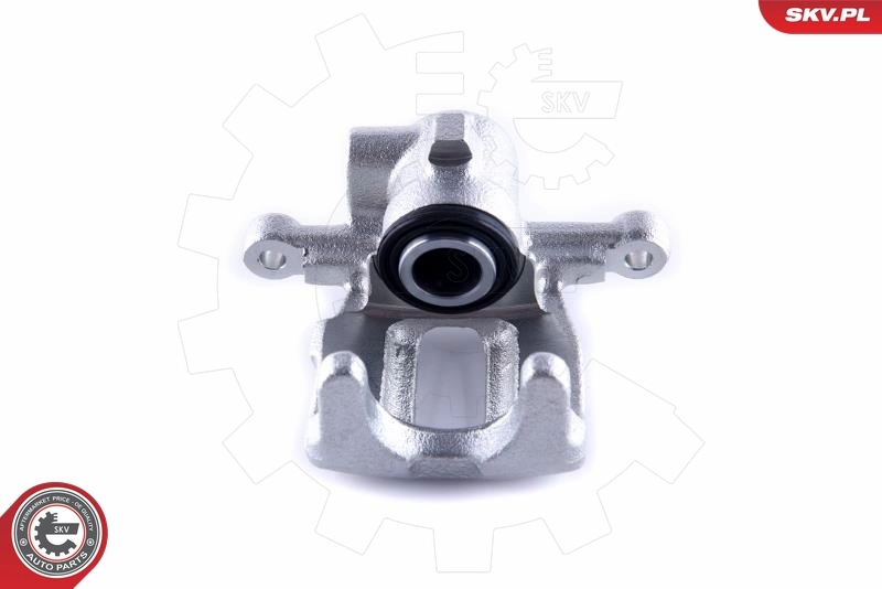 Brake Caliper 55SKV234