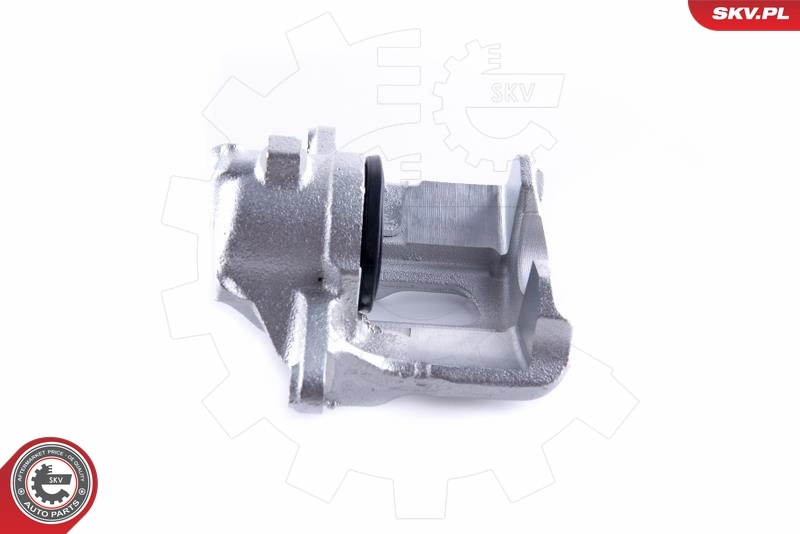 Brake Caliper 55SKV052