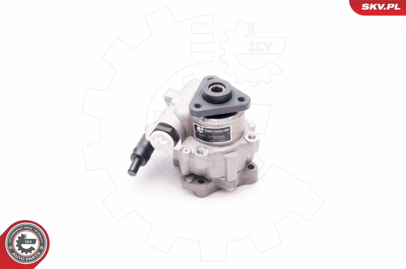 Hydraulic Pump, steering 10SKV220