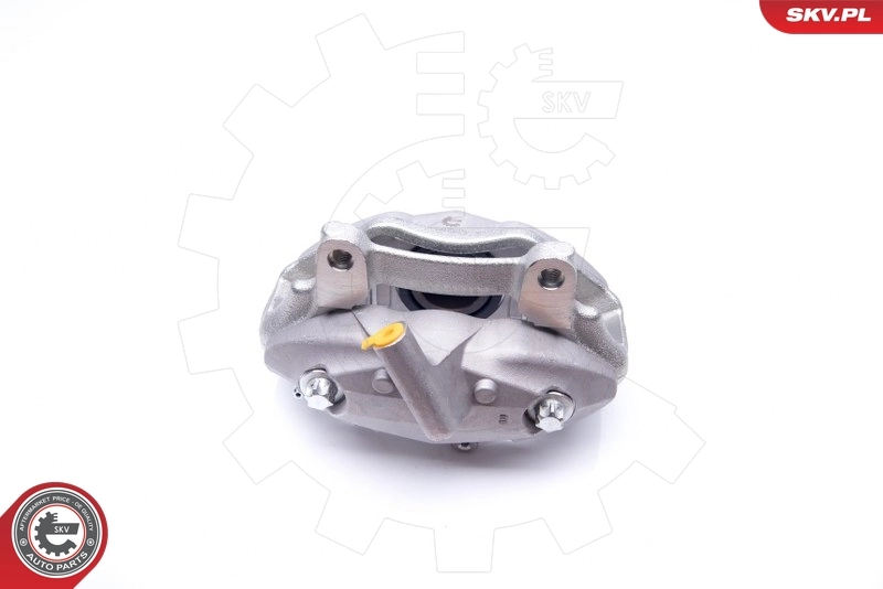 Brake Caliper 42SKV451