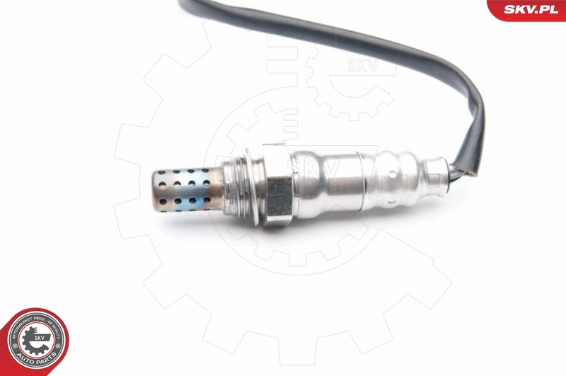 Oxygen Sensor 09SKV704