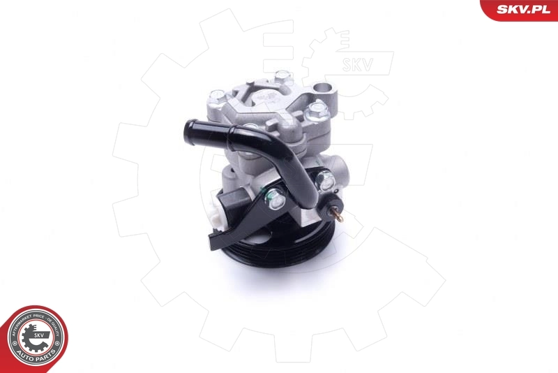 Hydraulic Pump, steering 10SKV301