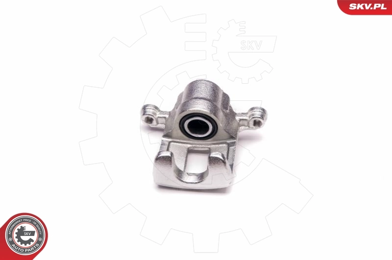 Brake Caliper 23SKV433