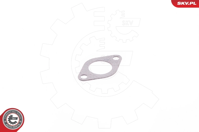 Gasket, EGR valve 14SKV110