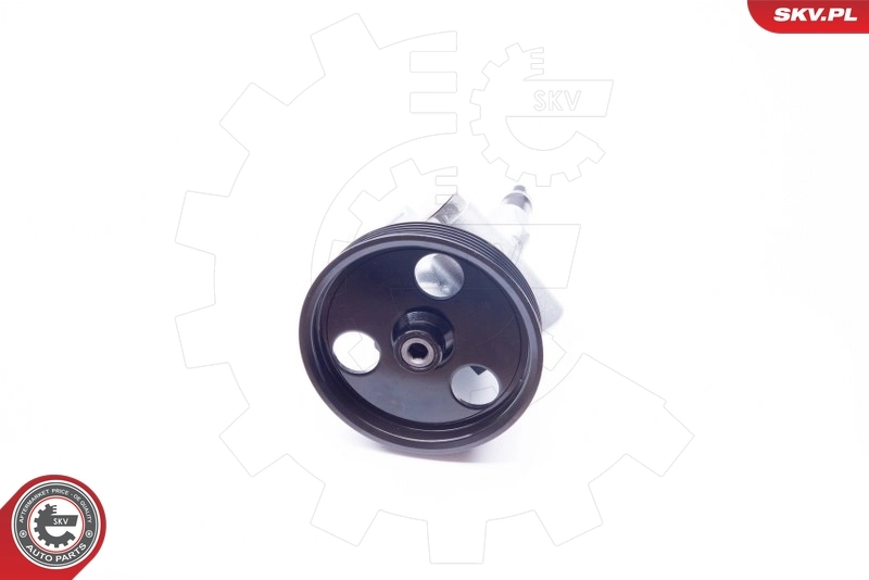 Hydraulic Pump, steering 10SKV232