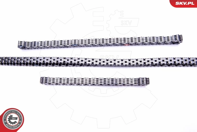 Timing Chain Kit 21SKV139