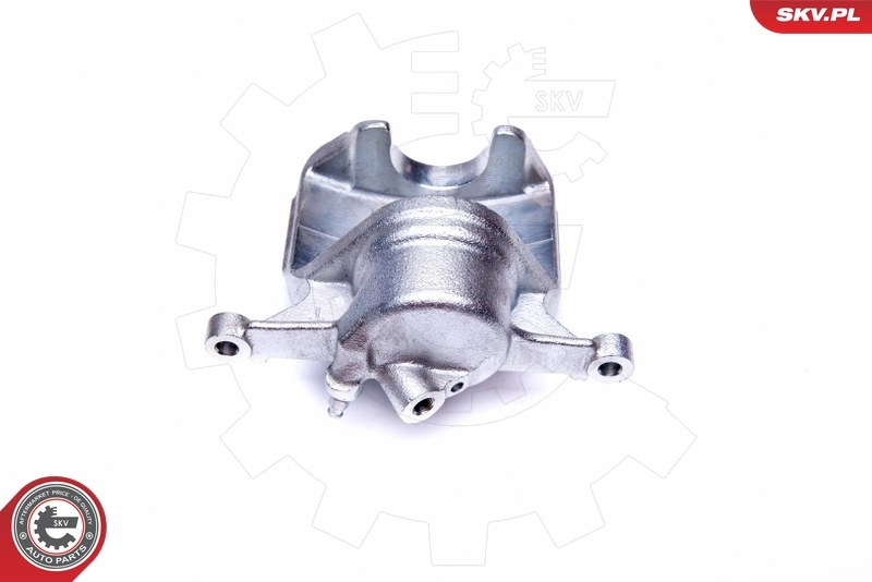 Brake Caliper 42SKV702