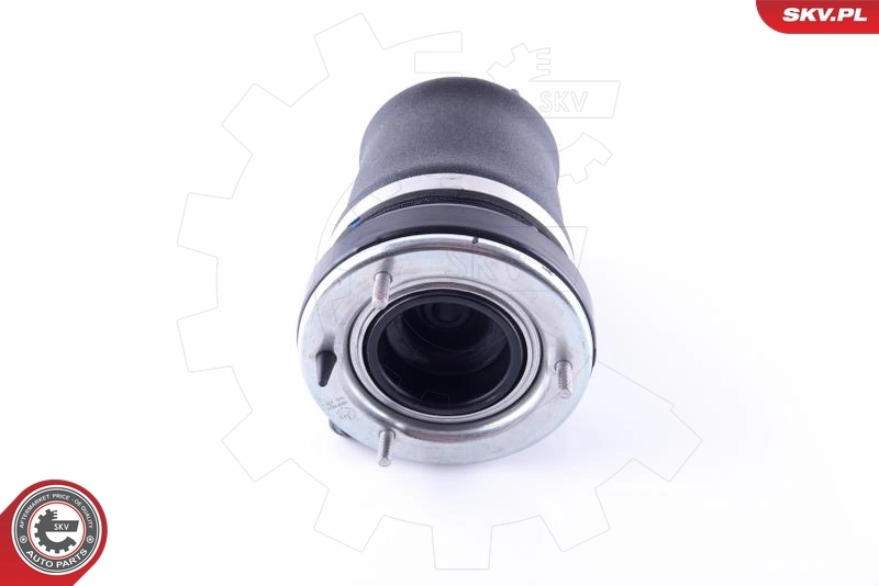 Air Spring, suspension 58SKV052