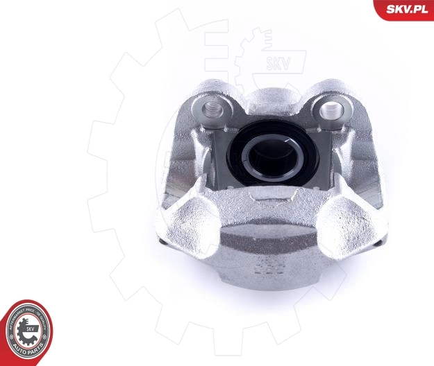 Brake Caliper 55SKV351