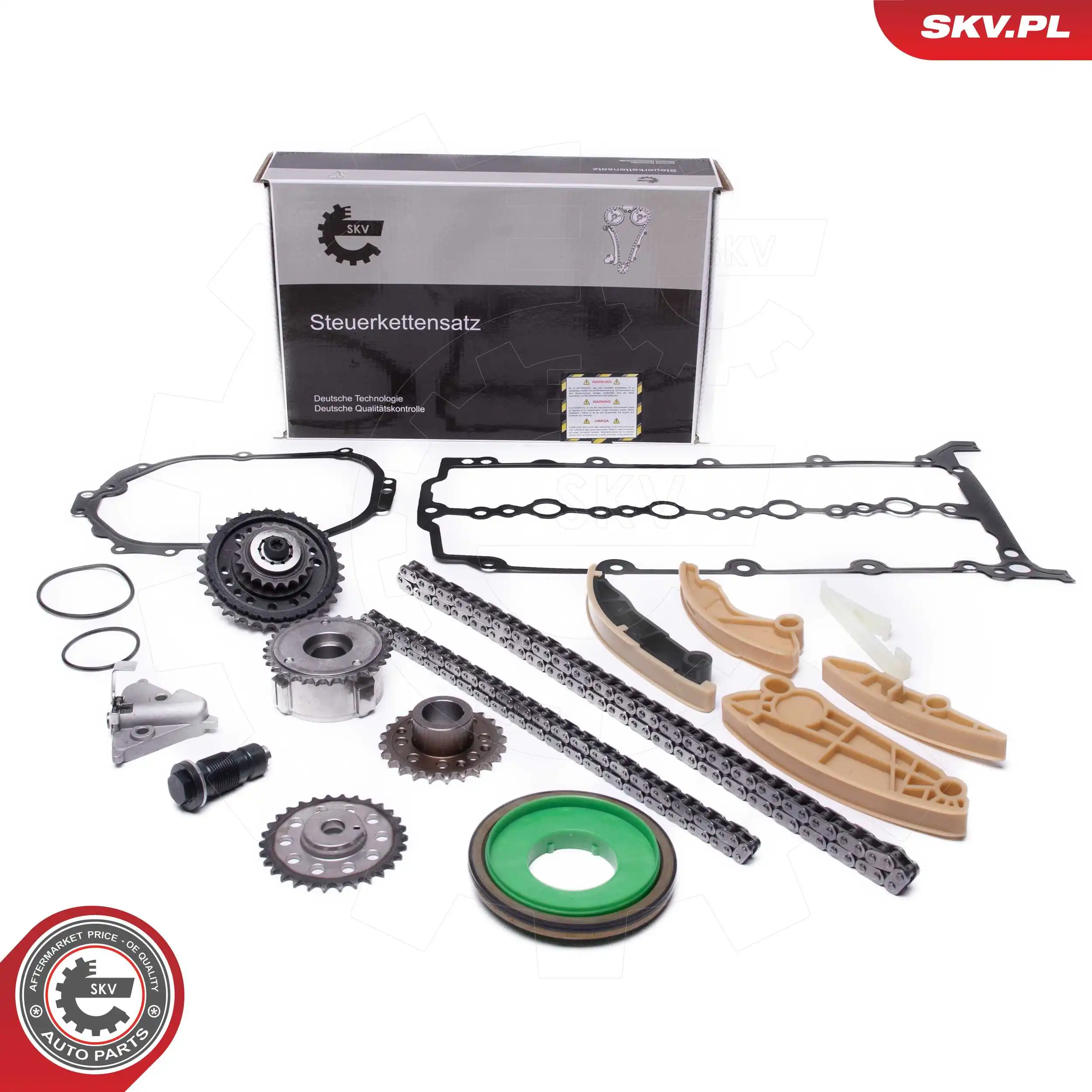 Timing Chain Kit 21SKV251