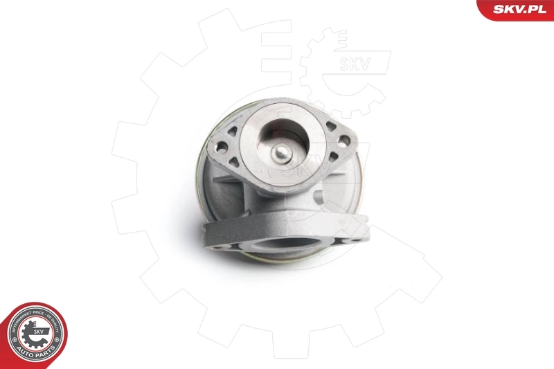 EGR Valve 14SKV098