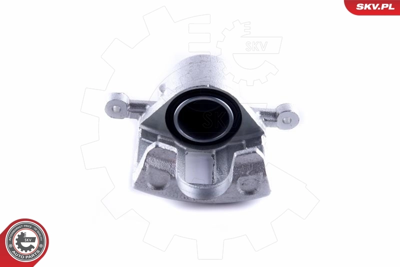 Brake Caliper 55SKV101