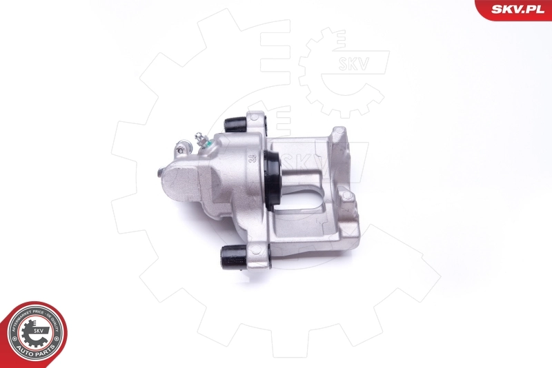 Brake Caliper 42SKV543