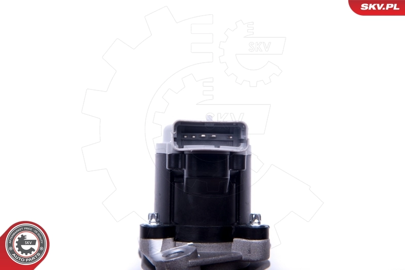 EGR Valve 14SKV173