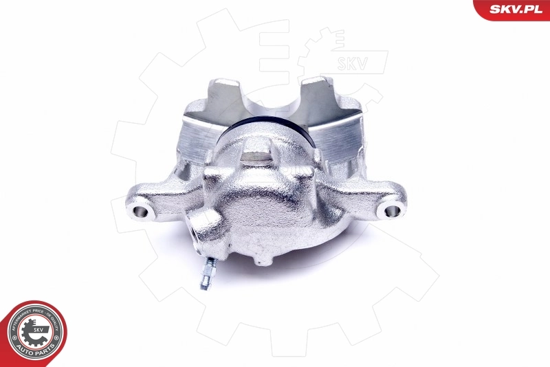 Brake Caliper 42SKV641