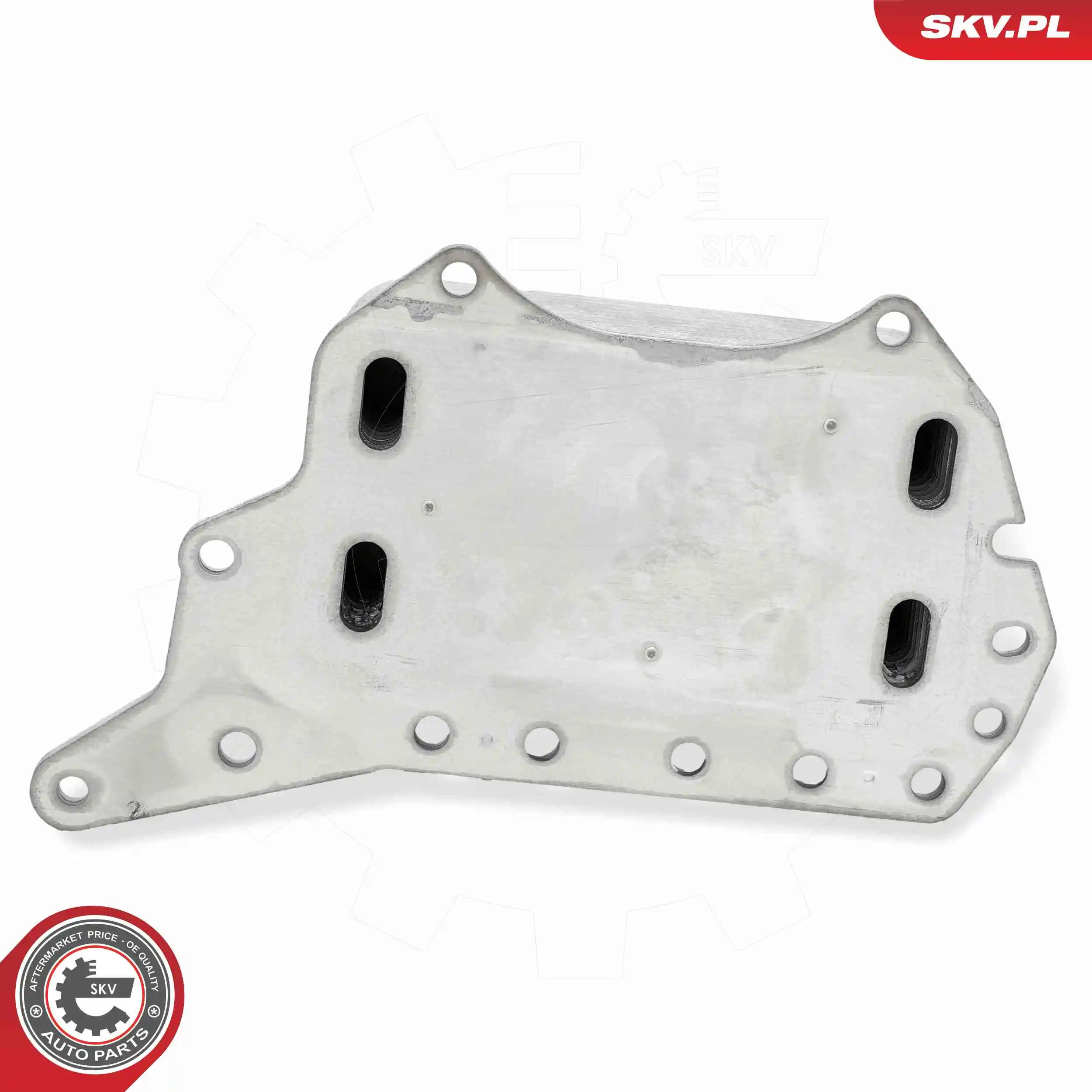 Oil Cooler, engine oil 31SKV306