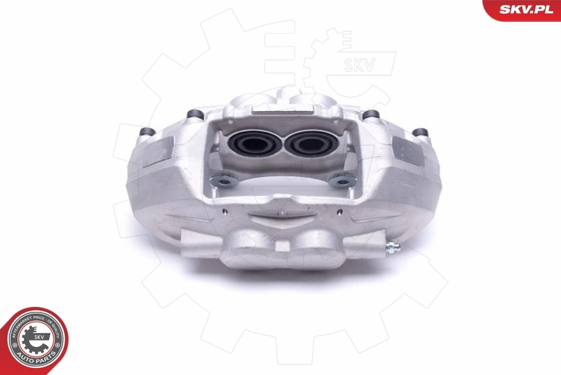Brake Caliper 55SKV902