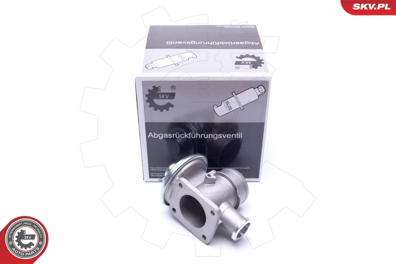 EGR Valve 14SKV179