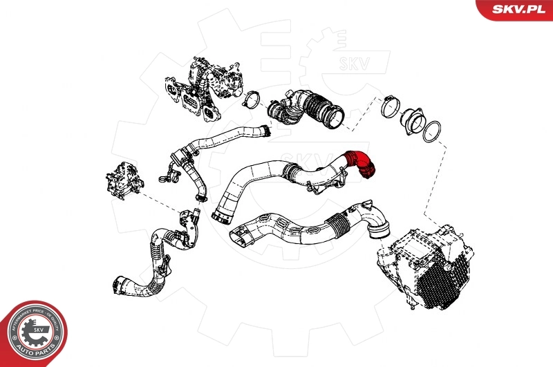Charge Air Hose 24SKV833
