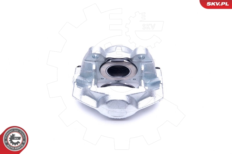 Brake Caliper 45SKV241