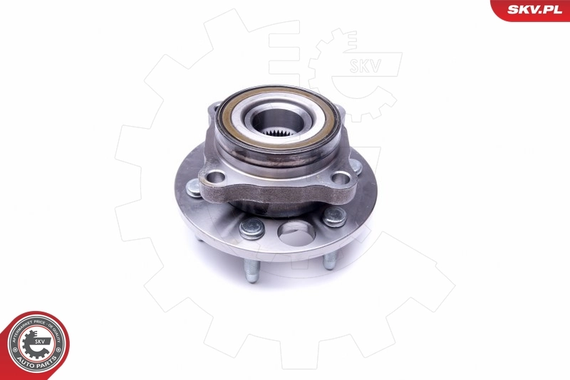 ESEN SKV 29SKV319 Wheel Bearing Kit